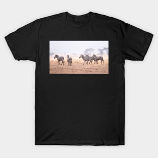 Serengeti Zebras #2 T-Shirt